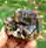 item-129334265=4