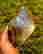 item-129334521=3