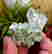 item-129557949=3