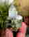 item-129557949=4