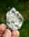 item-131256814=4
