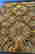 item-131347269=3
