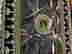 item-131347303=5