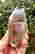 item-131578724=2