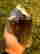 item-131578761=2
