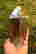 item-131578761=3