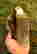 item-131578761=5