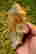 item-131578778=2