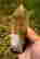 item-131578778=3