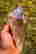 item-131578794=3
