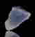 item-131578823=2