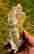 item-131578849=2