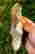 item-131578872=4