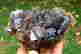 item-131579016=3