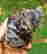item-131579016=4