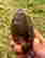 item-131579045=3