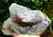 item-131579057=4