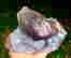 item-131579057=5