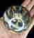 item-131579352=4