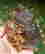 item-131579391=3