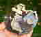 item-132150651=2