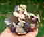 item-132150651=3