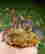 item-132150821=4