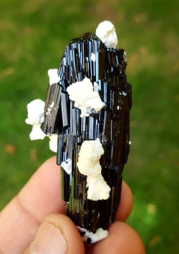 Tourmaline Crystal with Albite Specimen - 44.33 Grams: Beautiful Black Tourmaline Crystal with Albite Specimen - 44.33 Grams - 68X32X27 mmShipping Rate: $23.00 .shipping rates are determined by Parcel weight and destination.Combined shipping: We offer com