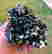 item-133975882=2
