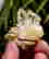 item-134359305=3
