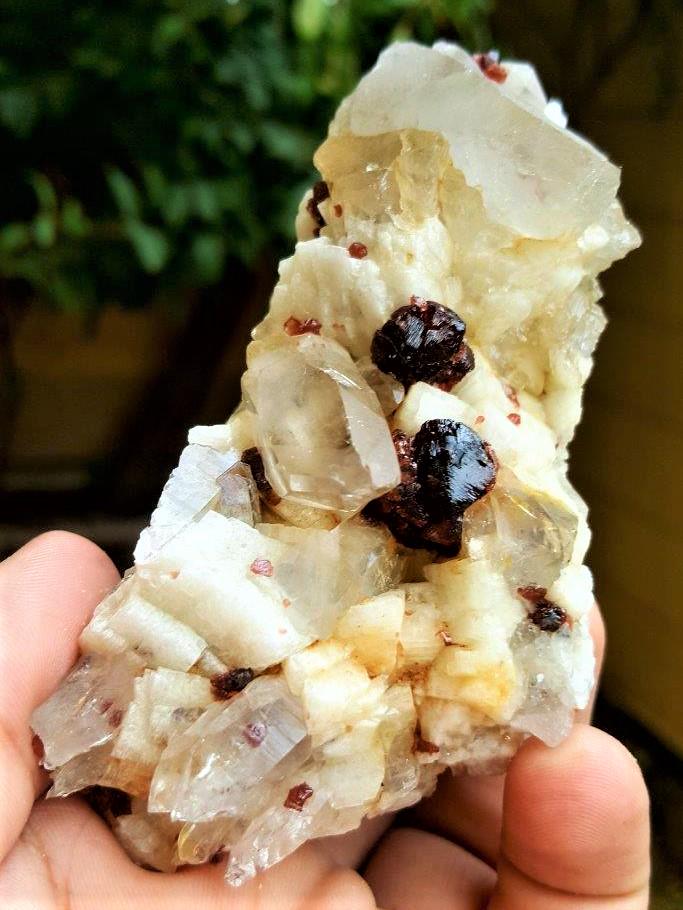 Garnet With Quartz Specimen - 233 Grams (1 of 3)