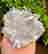 item-136517507=4