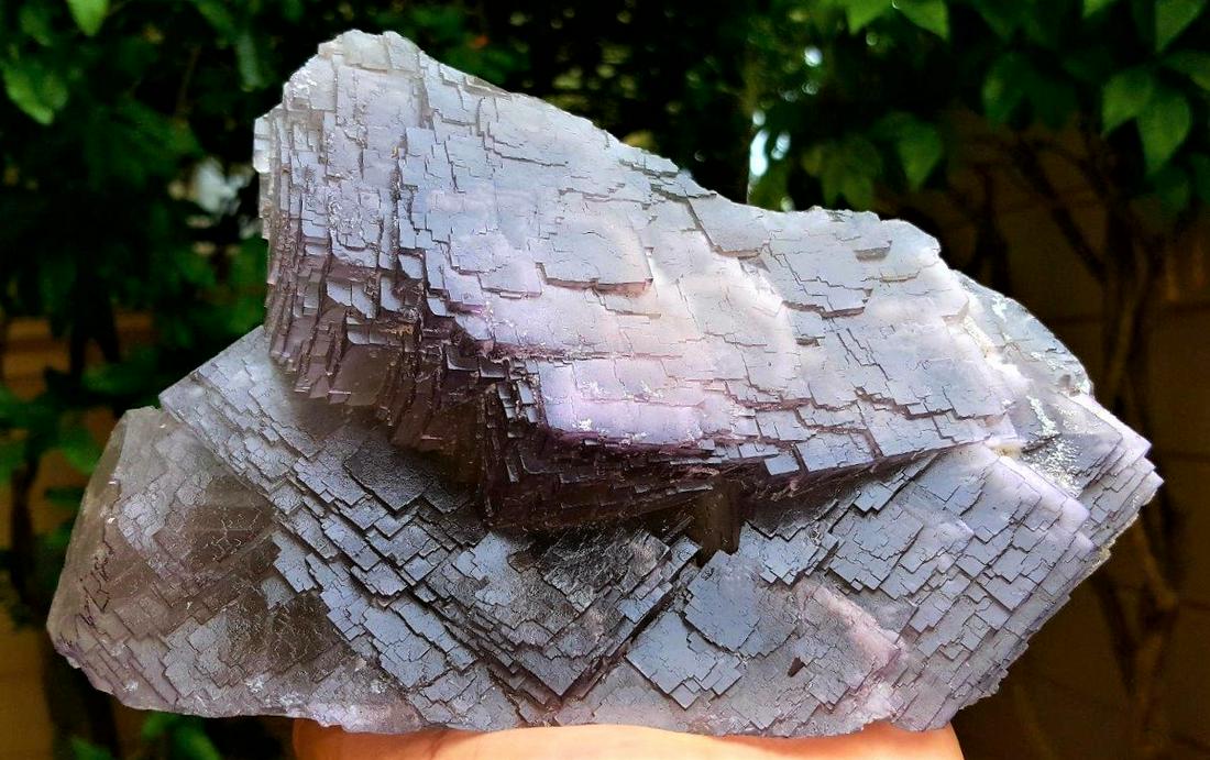 Huge Undamaged Purple Fluorite Crystal - 1256 Grams (1 of 6)