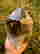 item-137102948=3