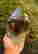 item-137102948=4