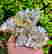 item-137102993=3