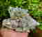 item-137102993=5