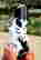 item-137103278=3