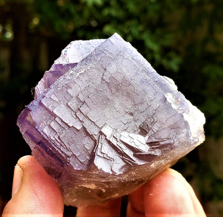 Beautful Fluorite Cub - 145 Grams: Beautful Fluorite Cub - 145 Grams - 51X44X50 mm Shipping: $23.00. Shipping rates are determined by Parcel weight and destination.