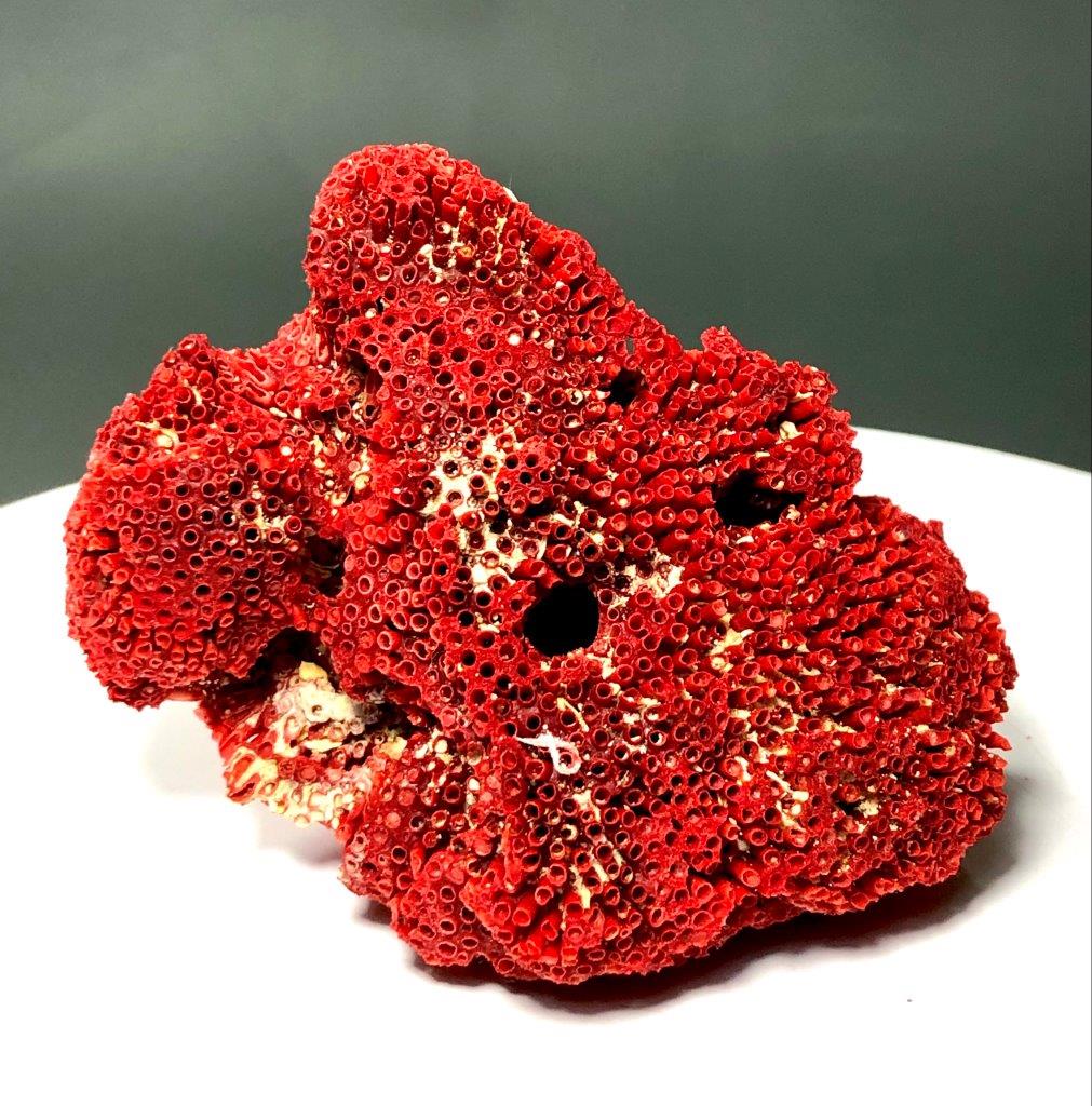 143 Grams Very Fine Quality NATURAL Sea Coral -110X75X70 mm: 143 Grams Very Fine Quality NATURAL Sea Coral -110X75X70 mmShipping Rate: $36.00 .shipping rates are determined by Parcel weight and destination.Combined shipping: We offer combine shipping on multipl