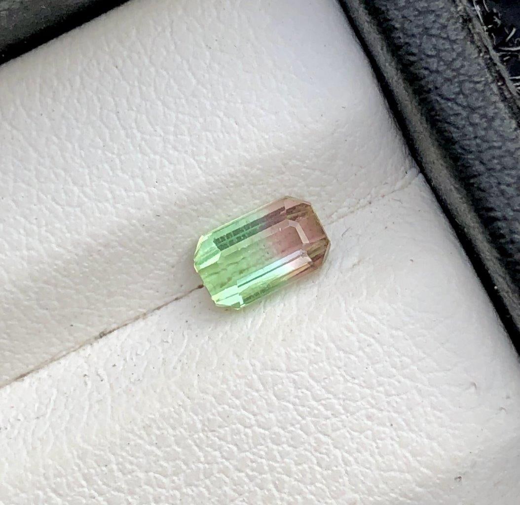 0.70 Carats Bi Colour Tourmaline - 10X4X3 mm (1 of 3)