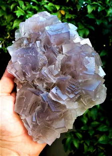 Purple Cubic Fluorite specimen - 1226 Grams: Purple Cubic Fluorite specimen - 1226 Grams - 195X126X52 mmShipping Rate: $85.00 .shipping rates are determined by Parcel weight and destination.Combined shipping: We offer combine shipping on multipl
