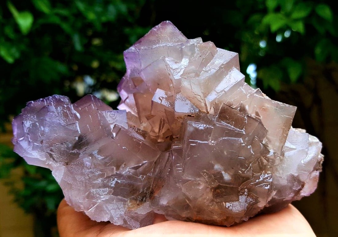 Cubic Fluorite With Dogtooth Calcite - 651 Grams (1 of 6)