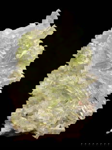 Tourmaline Crystals Cluster - Mineral Specimen - 12 Grams - 42X33X11 mm: Tourmaline Crystals Cluster - Mineral Specimen - 12 Grams - 42X33X11 mm Shipping Rate: $20.00 .shipping rates are determined by Parcel weight and destination.Combined shipping: We offer combine shippi