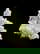 item-209096821=6