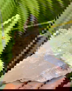 126.67 Grams Beautiful Quartz Crystals Formation - 63X67X46 mm: 126.67 Grams Beautiful Quartz Crystals Formation - 63X67X46 mm Shipping Rate: $30.00 .shipping rates are determined by Parcel weight and destination.Combined shipping: We offer combine shipping on mul