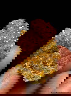 Hessonite Garnet Crystals Cluster Mineral Specimen - 11 Grams - 33X24X12 mm: Hessonite Garnet Crystals Cluster Mineral Specimen - 11 Grams - 33X24X12 mmShipping Rate: $23.00 .shipping rates are determined by Parcel weight and destination.Combined shipping: We offer combine shi