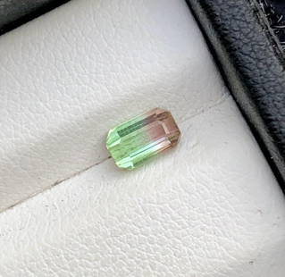0.70 Carats Bi Colour Tourmaline - 10X4X3 mm: 0.70 Carats Bi Colour Tourmaline - 10X4X3 mmShipping Rate: $15.00 .shipping rates are determined by Parcel weight and destination.Combined shipping: We offer combine shipping on multiple items purchas