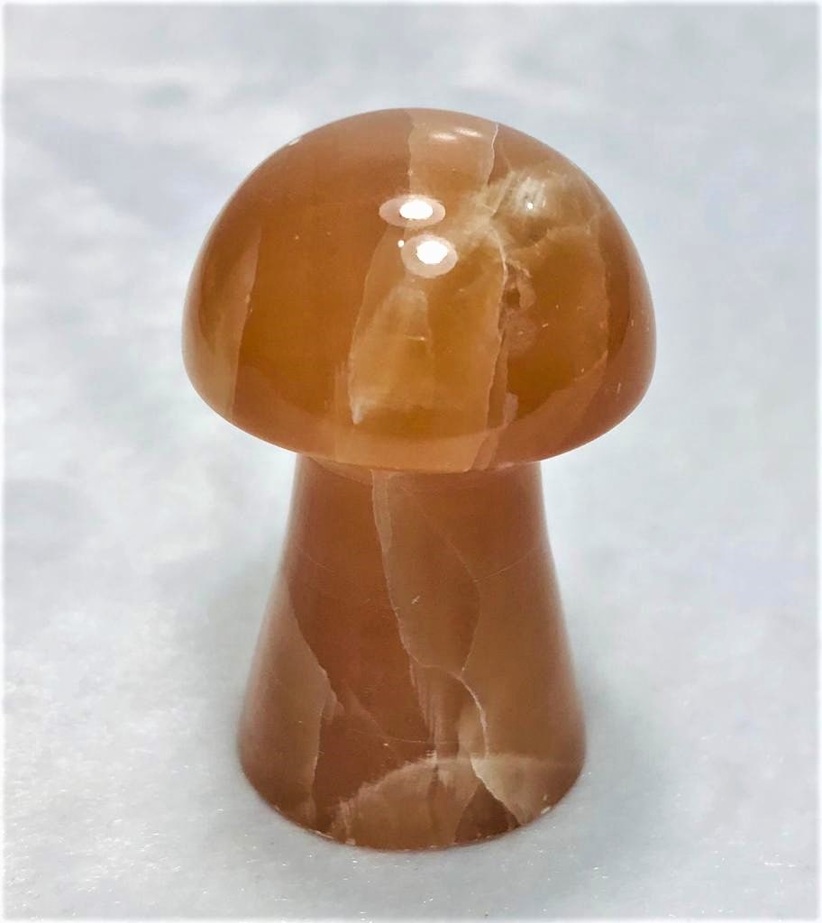 Honey Calcite Mashroom 69G: Honey Calcite Mashroom 69G 52X33.5mm Shipping: $23.00. Shipping rates are determined by Parcel weight and destination.
