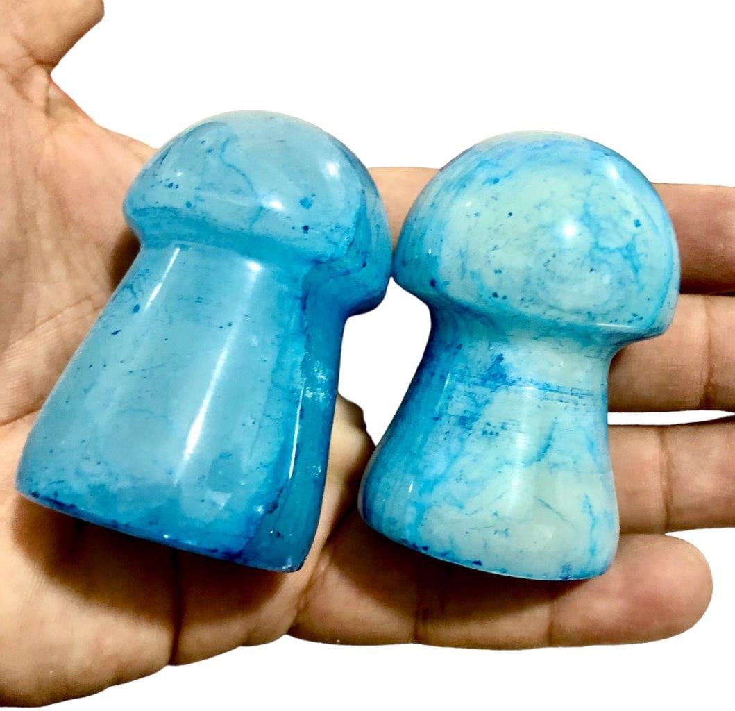 Onyx Dyed Blue MAshrooms: Onyx Dyed Blue MAshrooms Shipping: $40.00. Shipping rates are determined by Parcel weight and destination.